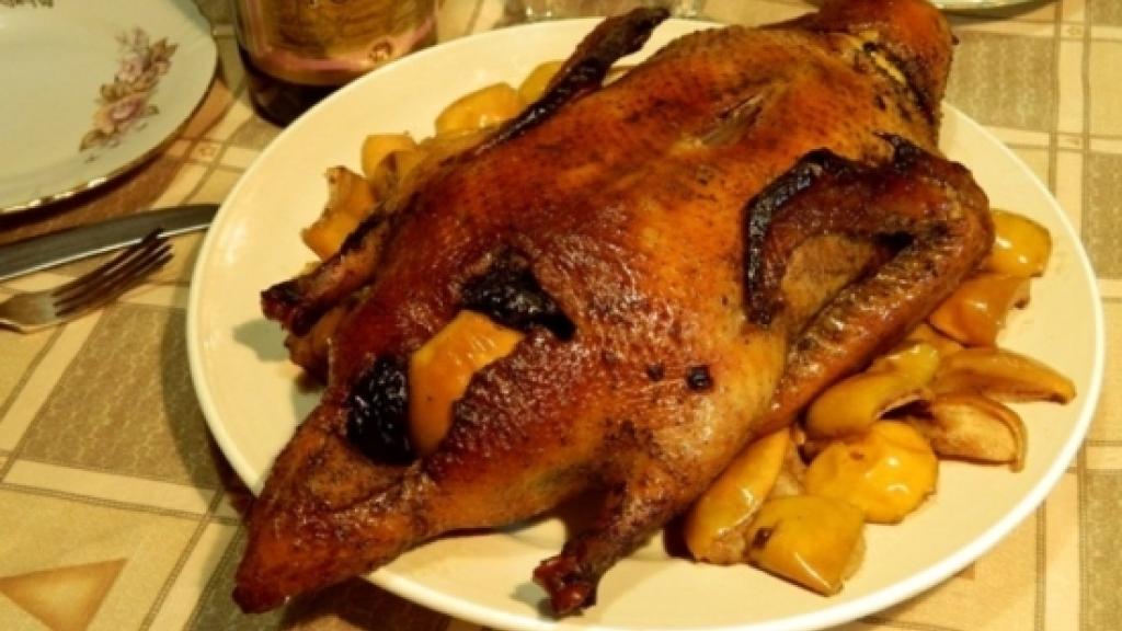 Oiseau aux pruneaux et morceaux de pomme