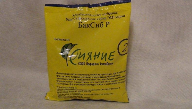 médicament "Shine-2".