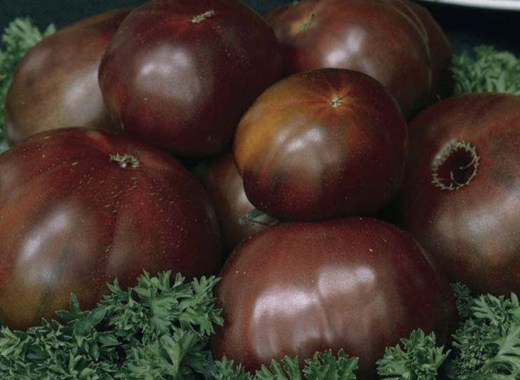 บารอนดำ