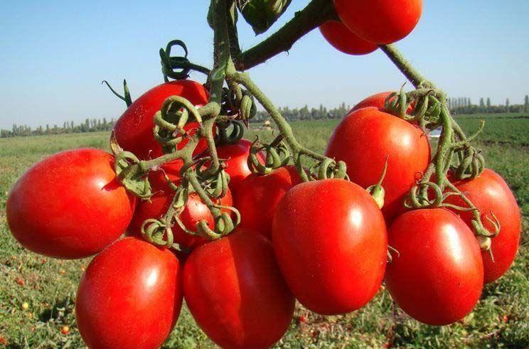 ริโอเดอแกรนด์