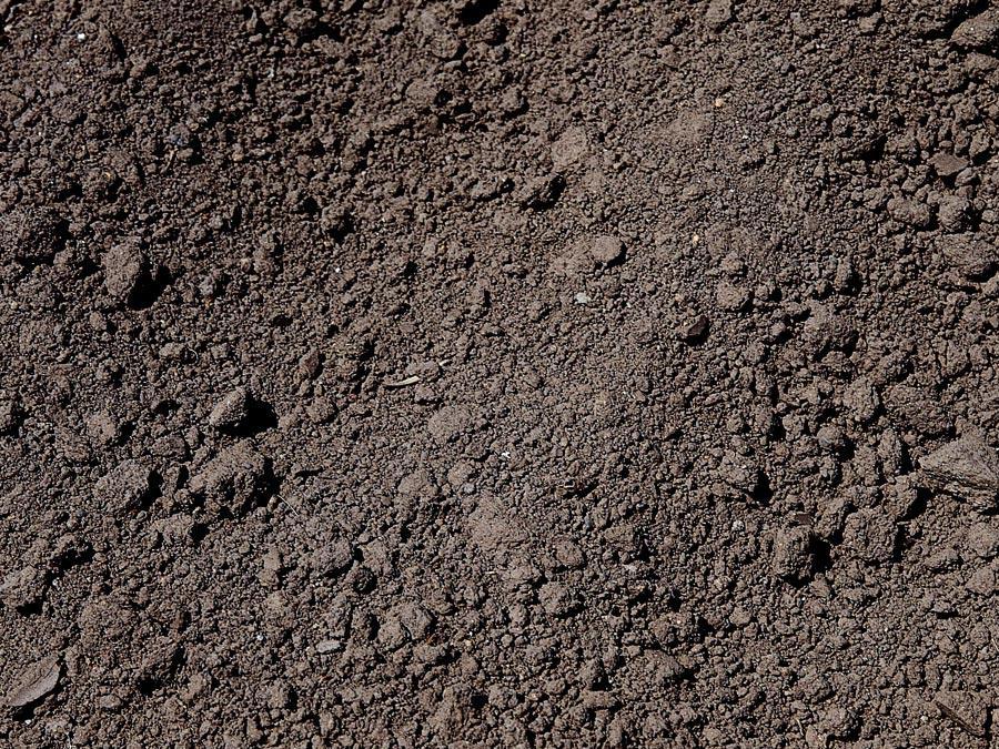 ดินดำสำหรับทำแตงโม