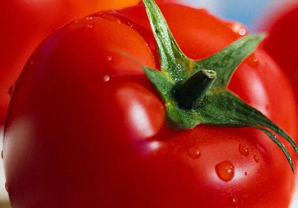 การค้นหา F1