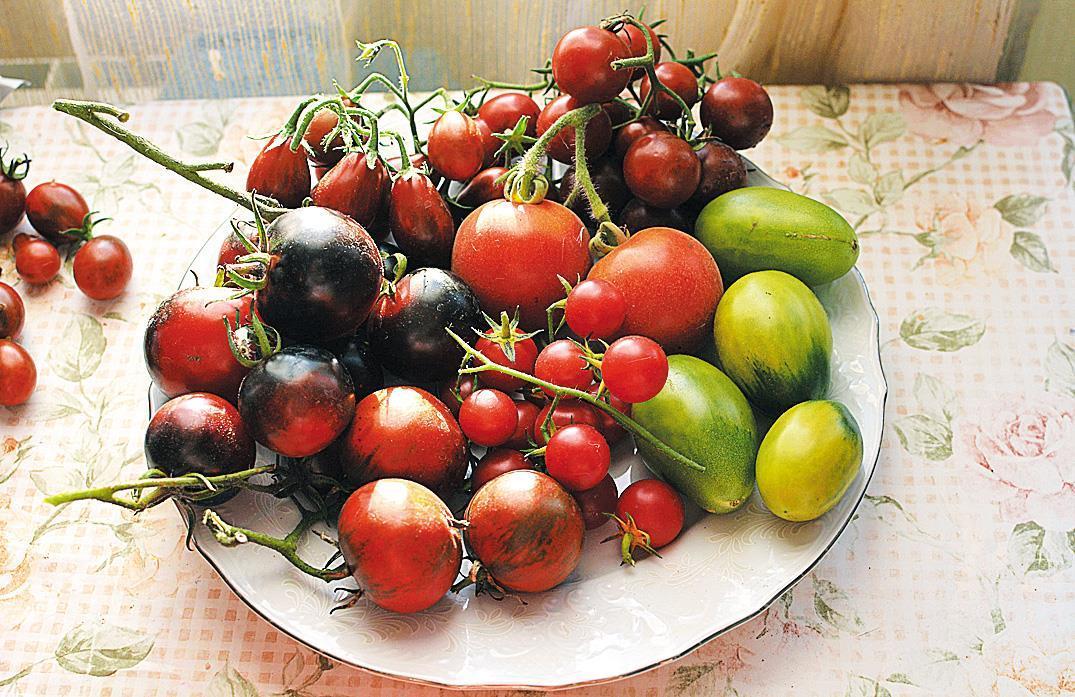 มะเขือเทศเชอร์รี่ดำ