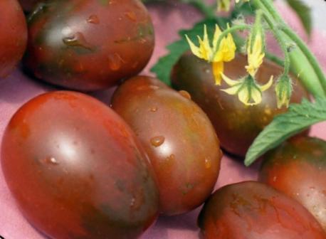 เดอ บาราโอเป็นคนดำ