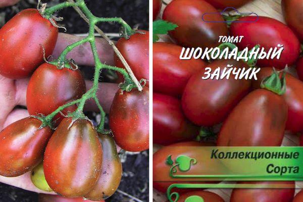 กระต่ายช็อกโกแลต