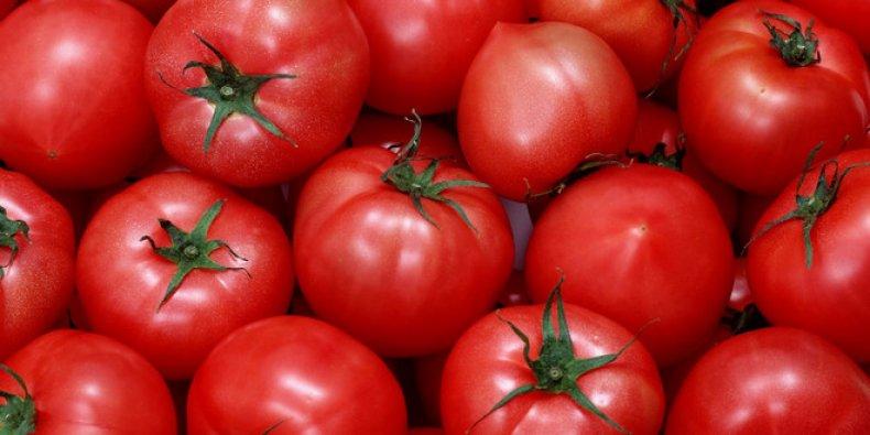 หมีตีนปุกมะเขือเทศ