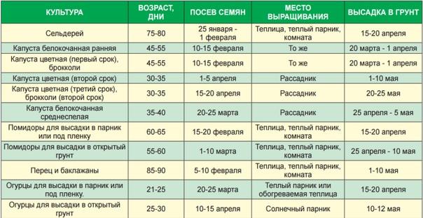ปฏิทินปลูกพืชปี 2025