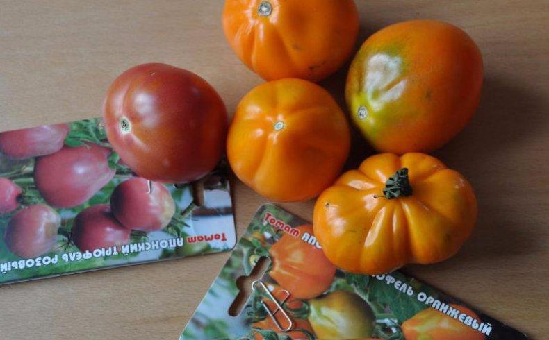 มะเขือเทศทรัฟเฟิลญี่ปุ่น