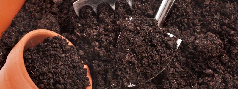 ดินสำหรับเพาะต้นกล้า
