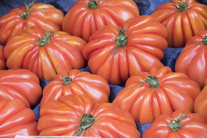 กระท่อมมะเขือเทศพุงพลุ้ย