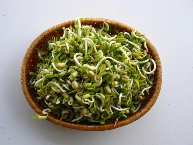 ถั่วงอก