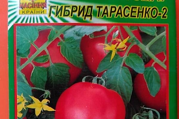 Emballage de 2 graines de Tarasenko Hybrid