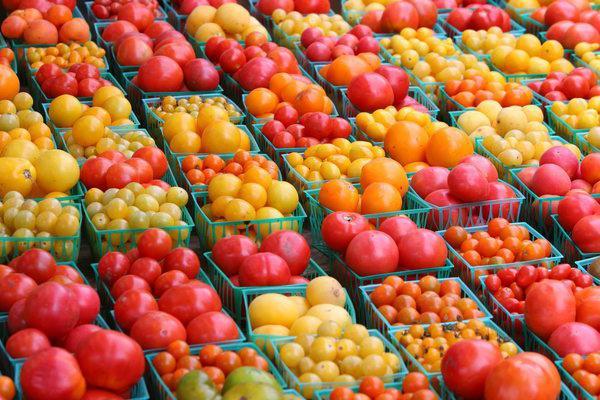 tomates pour Saint-Pétersbourg