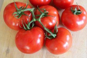 Caractéristiques et description de la variété de tomate Blagovest, rendement et culture