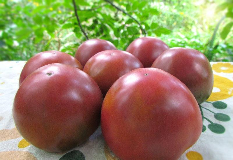 ความภาคภูมิใจของเพียร์ซ