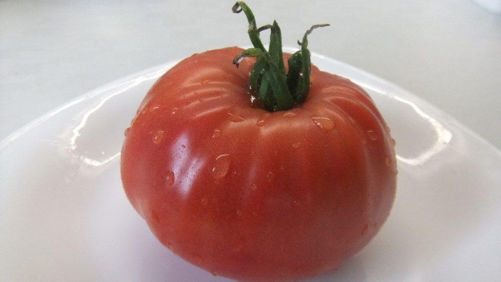 ยักษ์นาปา