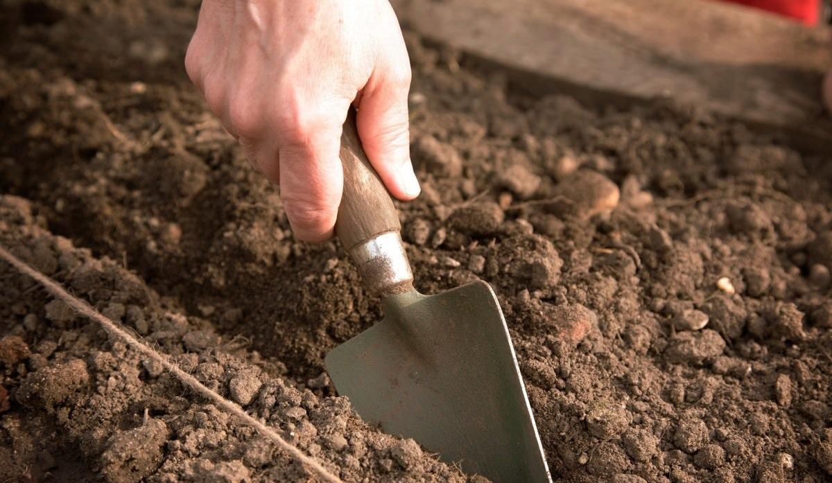 préparation du sol pour les serres