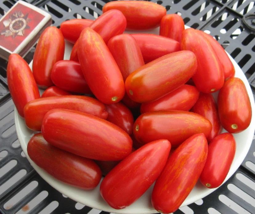 สวีท คาซาดิ