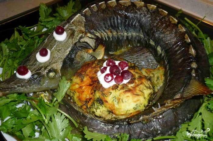 ปลาสเตอร์เจียนยัดไส้