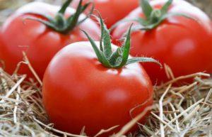 Description et caractéristiques des tomates Anyuta, rendement et culture