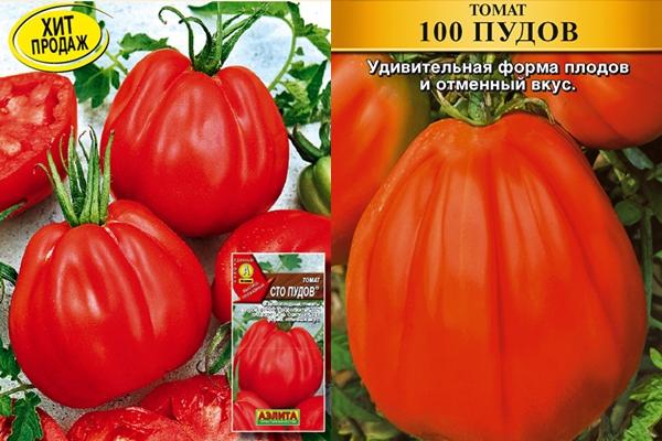 graines de tomates cent livres