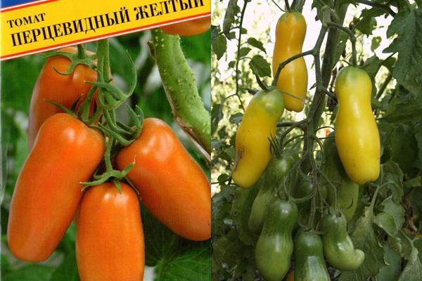 tomate en forme de poivron jaune