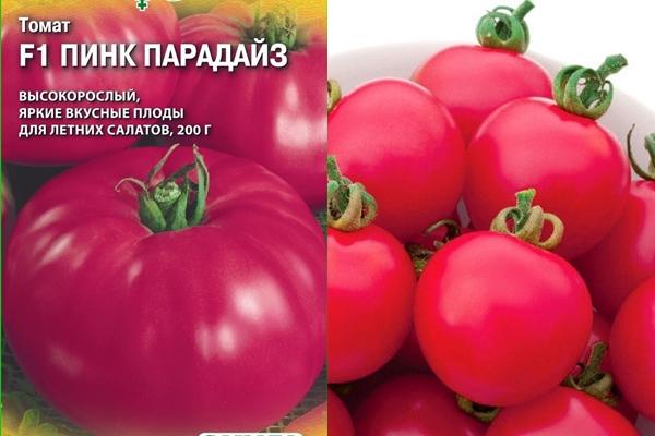 tomate rose paradis f1