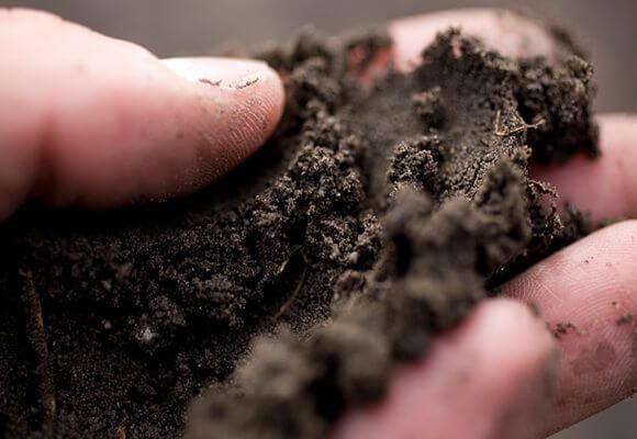 préparation du sol pour les serres