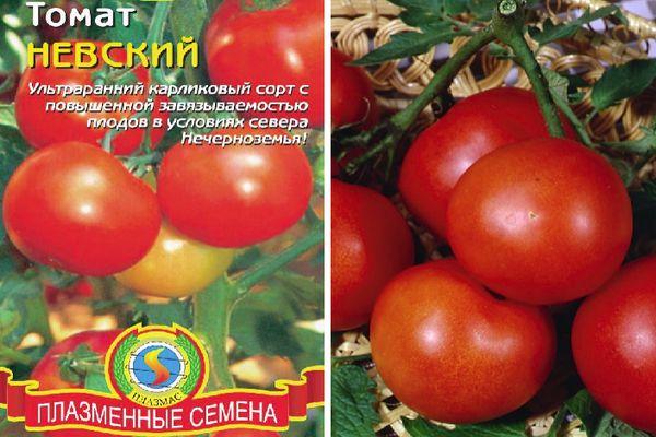 Tomate Nevsky