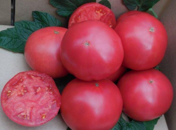 สีชมพูจีน