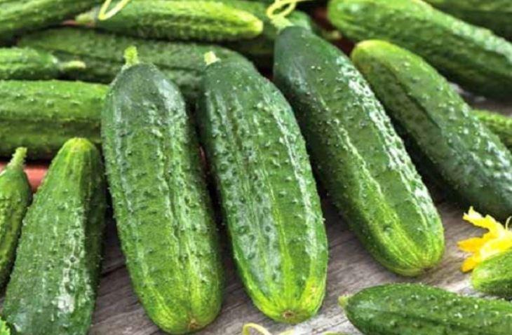 ช่อดอกไม้มหัศจรรย์ F1