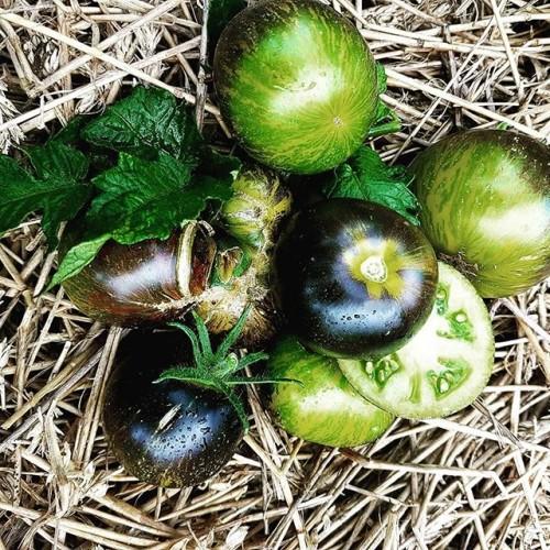 เทพธิดาสีเขียวซานาดู