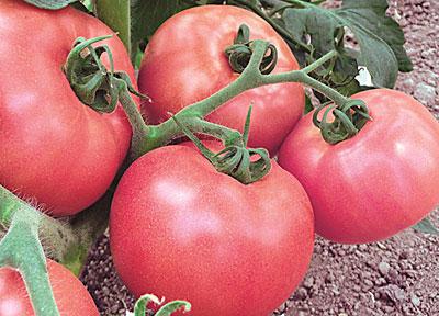 ของขวัญจากผู้หญิง