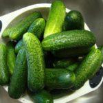 คลาวเดีย อะโกร เอฟ1