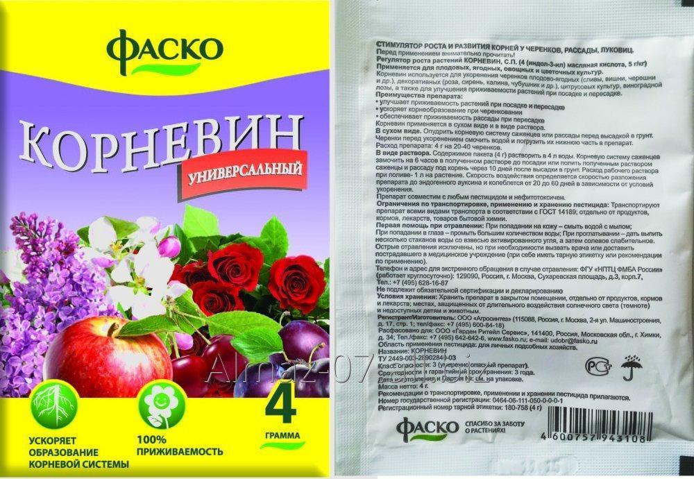 le médicament Kornevin