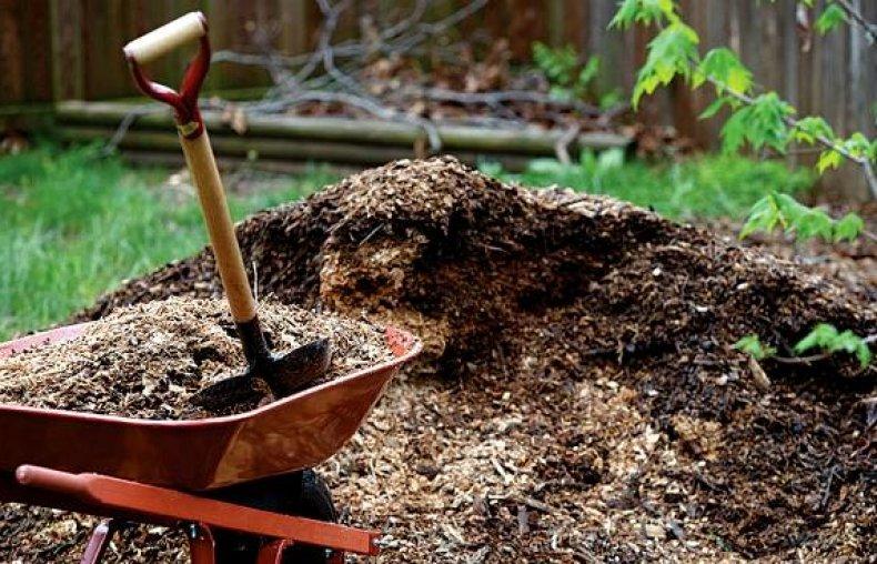 ขี้เลื่อยสำหรับแตงกวา