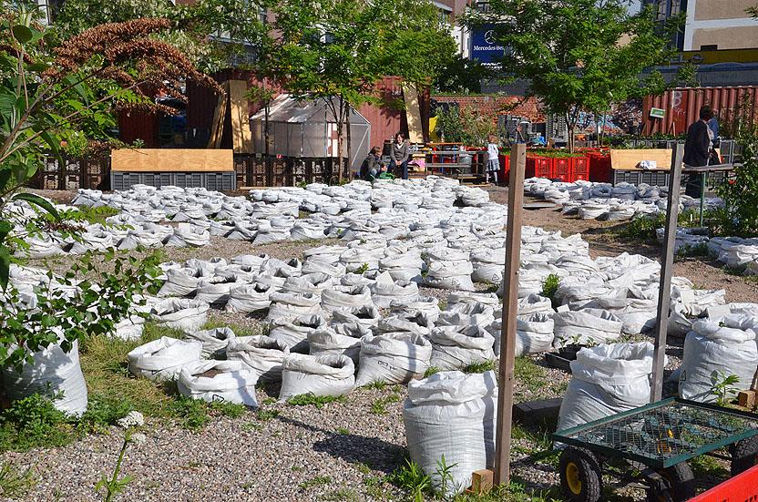 มะเขือเทศในถุง