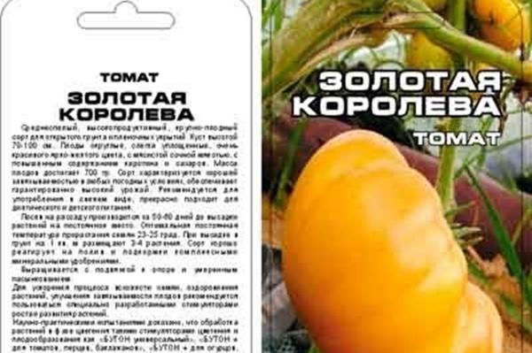 มะเขือเทศราชินีทอง