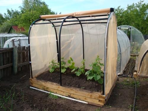 เรือนกระจก DIY