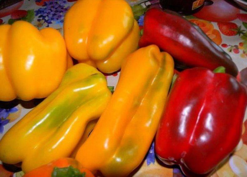 กระทิงแดงและเหลือง