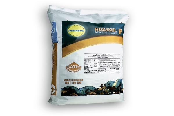 โรซาซอล