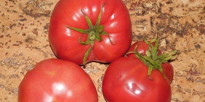 มะเขือเทศสุก