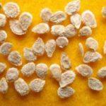 ลักษณะของเมล็ดมะเขือเทศ