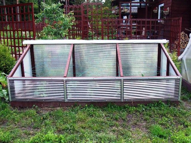 โรงเรือนปลูกแตงกวา