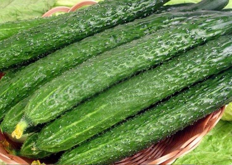 ชาวนาชาวจีน