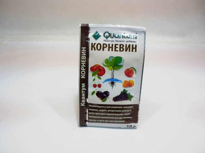 Kornevin dans un sac