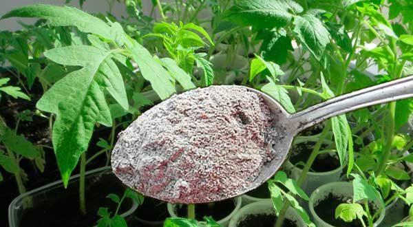 cendre dans une cuillère