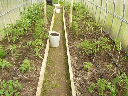 ระบบอัตโนมัติ CLIP-36