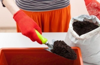 ชายคนหนึ่งกำลังรวบรวมดินสำหรับปลูกต้นกล้า