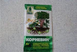 คำแนะนำในการใช้ Kornevin สำหรับมะเขือเทศ วิธีใช้เมื่อเก็บเกี่ยว